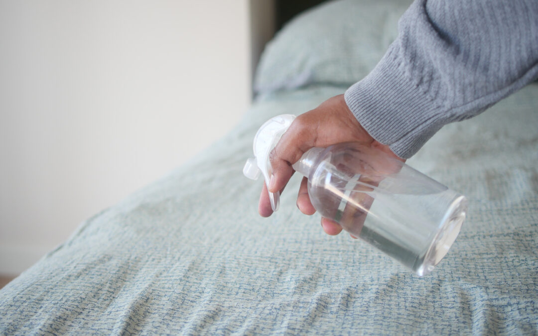 Why DIY Bed Bug Solutions Usually Fail in Las Vegas
